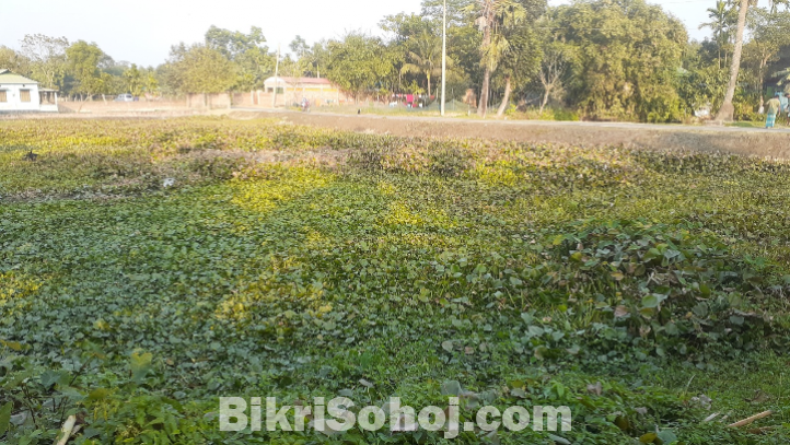 ময়মনসিংহ মুক্তাগাশা    ৪৩ শতাংশ  জমি  বিক্রয়  হবে